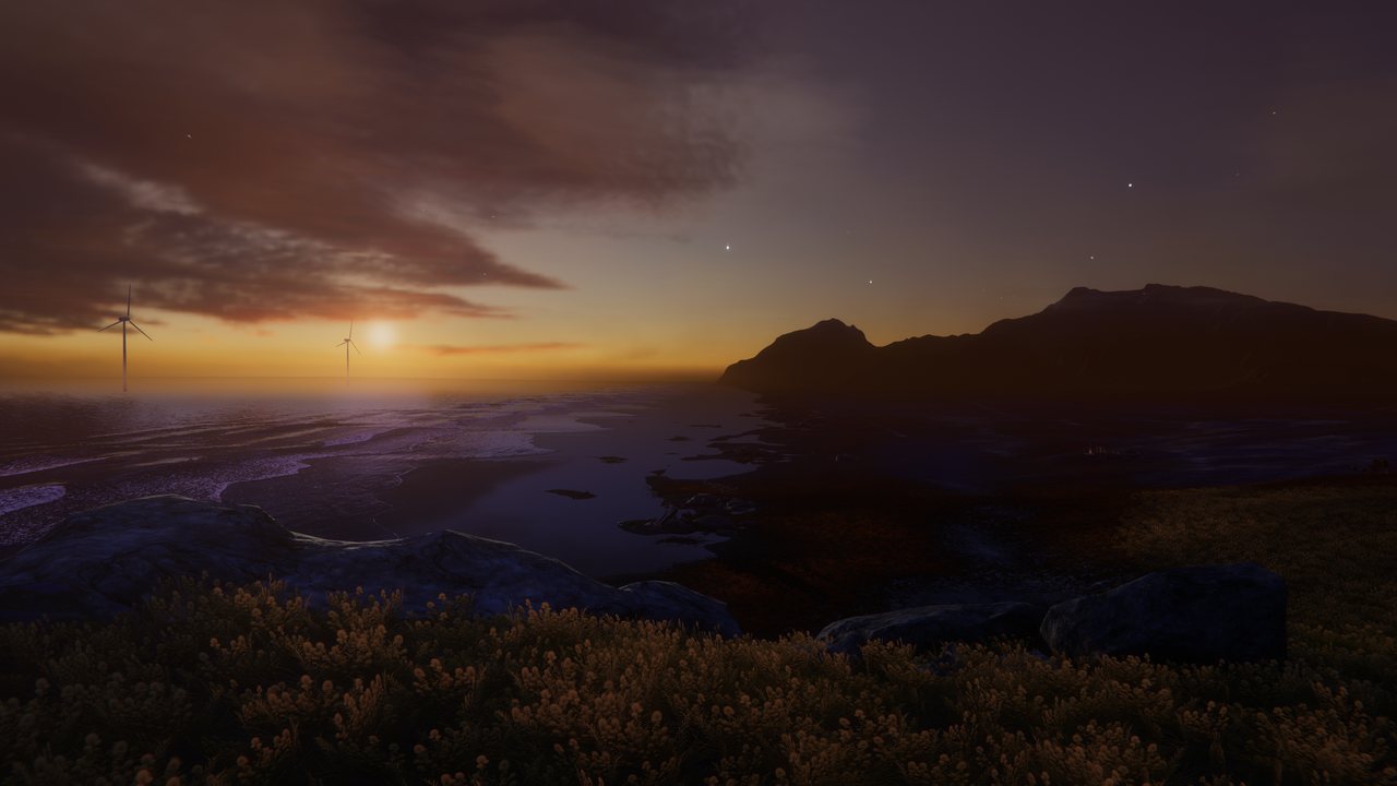 Black Shore